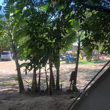 The Riverdeck Accommodation And Backpackers كنيسنا المظهر الخارجي الصورة