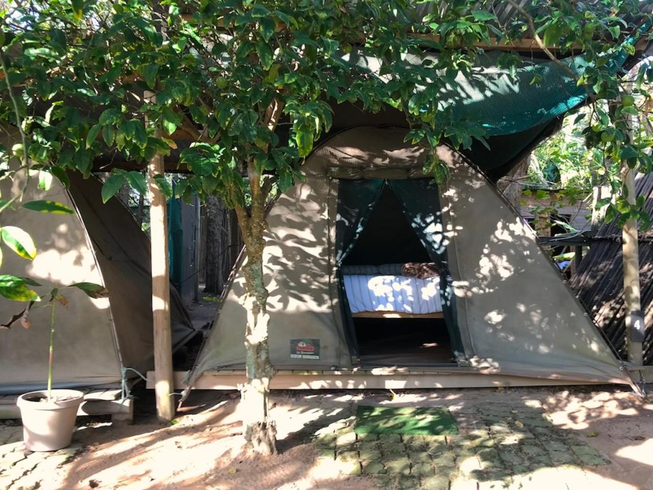 The Riverdeck Accommodation And Backpackers كنيسنا المظهر الخارجي الصورة