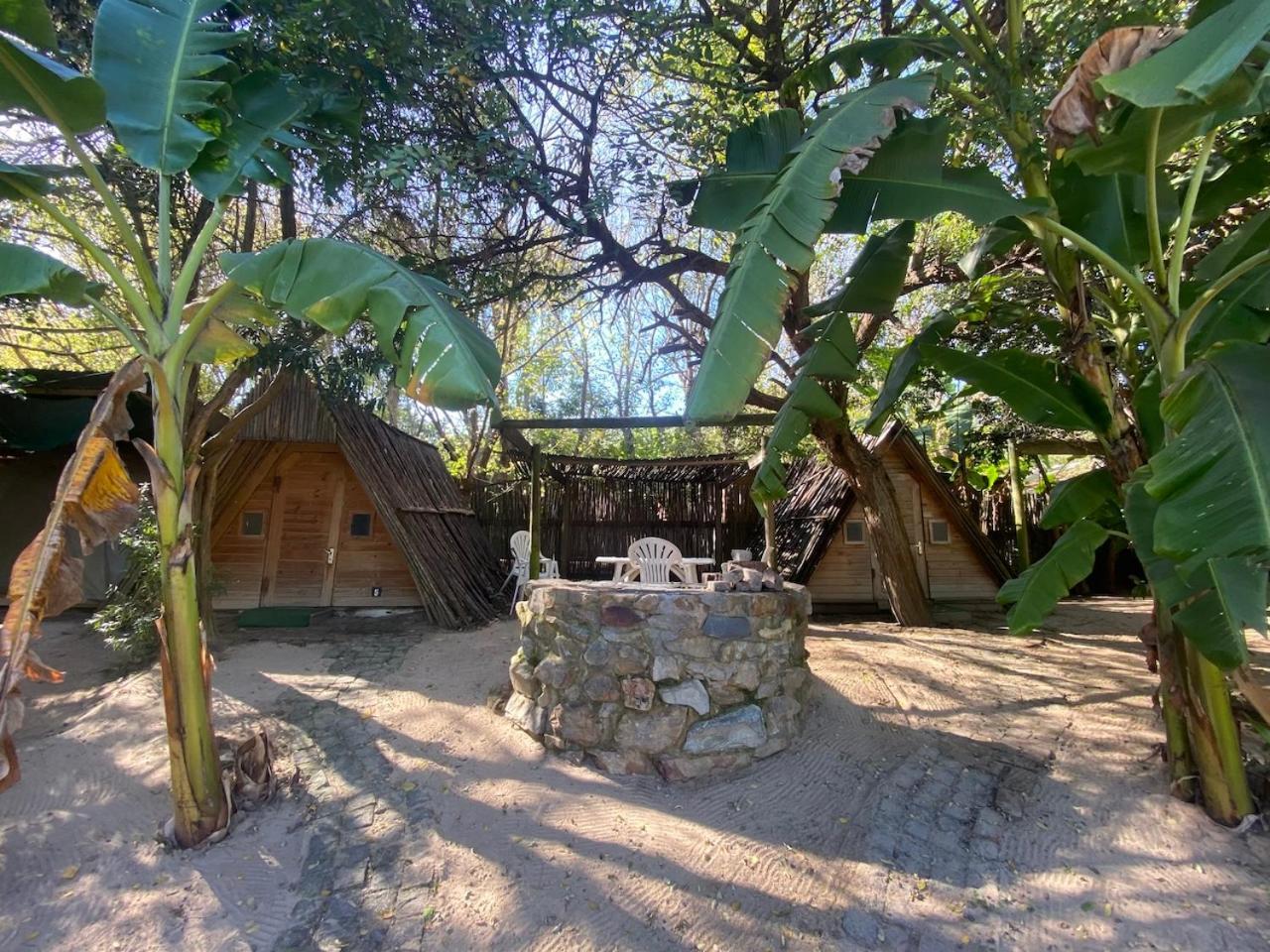 The Riverdeck Accommodation And Backpackers كنيسنا المظهر الخارجي الصورة